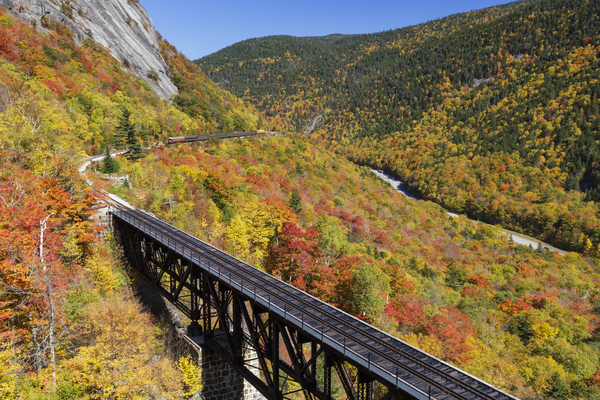 Willey Brook Trestle - White Mountains New Hampshire Print