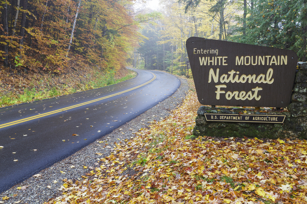 Tripoli Road - Thornton New Hampshire Print