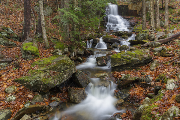 Rollo Fall - Randolph New Hampshire Print