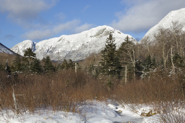 Pemi Trail - Franconia Notch State Park New Hampshire Print