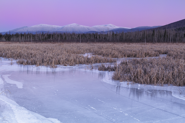 Presidential Range - Pondicherry Wildlife Refuge White Mountains Print