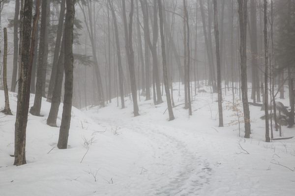 Flume Gorge - Lincoln New Hampshire Print