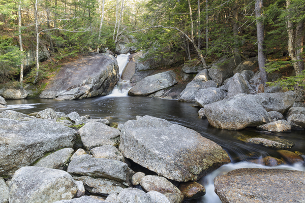 Harvard Brook - Lincoln New Hampshire Print