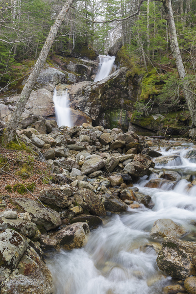 Lafayette Brook Falls - Franconia New Hampshire Print