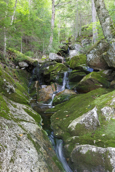 Elephant Head Brook - Carroll New Hampshire  Print