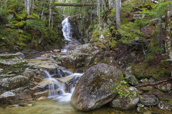 Pearl Cascade - Bethlehem New Hampshire Print