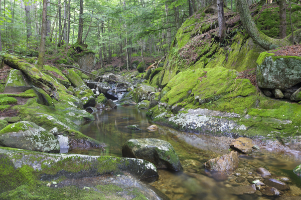 Walker Brook - Woodstock New Hampshire Print
