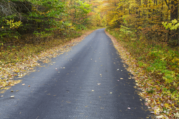 Tunnel Brook Road - Easton New Hampshire Print