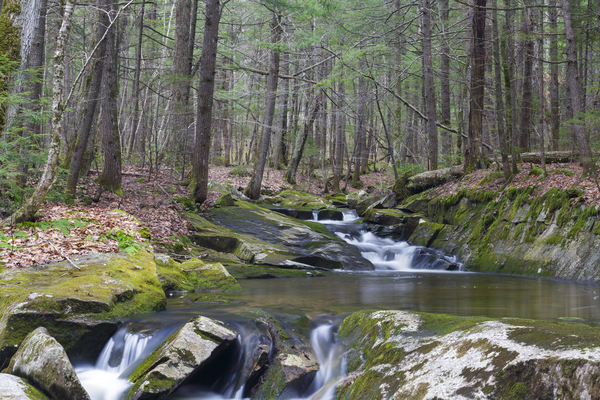 Pike Brook - North Woodstock New Hampshire Print