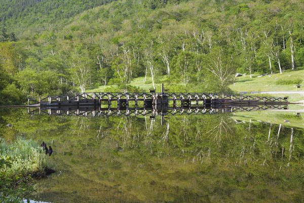Willey House Historical Site - Crawford Notch New Hampshire Print