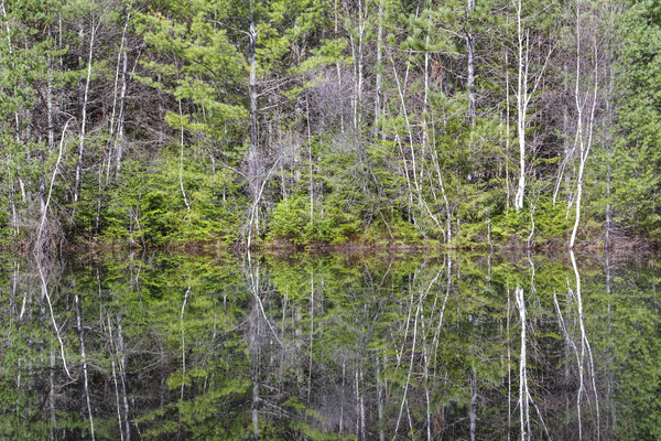 Kancamagus Highway - White Mountains New Hampshire Print