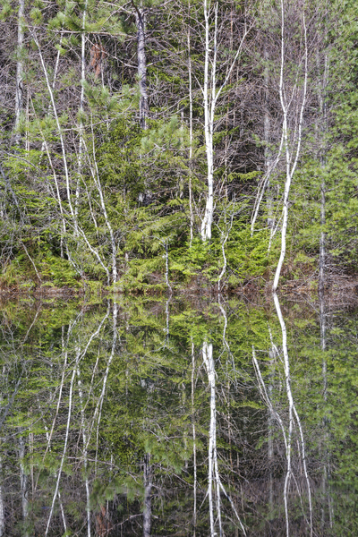 Kancamagus Highway - White Mountains New Hampshire Print