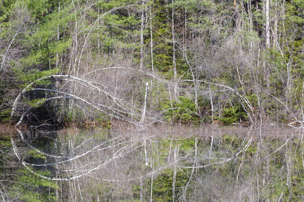 Kancamagus Highway - White Mountains New Hampshire Print