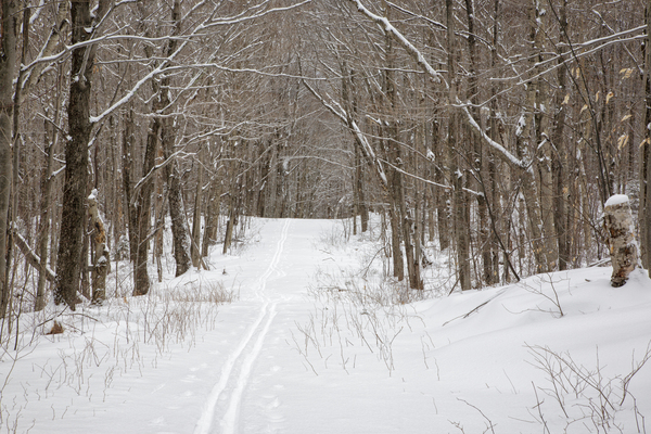 Lafayette Ski Trails - Franconia New Hampshire Print