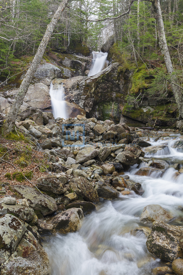 Lafayette Brook Falls - Franconia New Hampshire  Imprimer