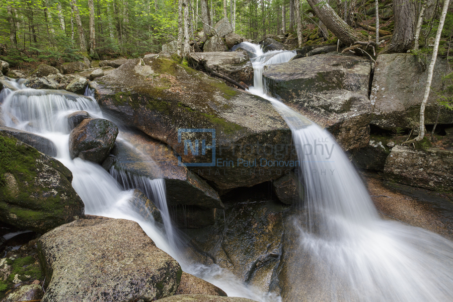 Whitehouse Brook - Lincoln New Hampshire  Print