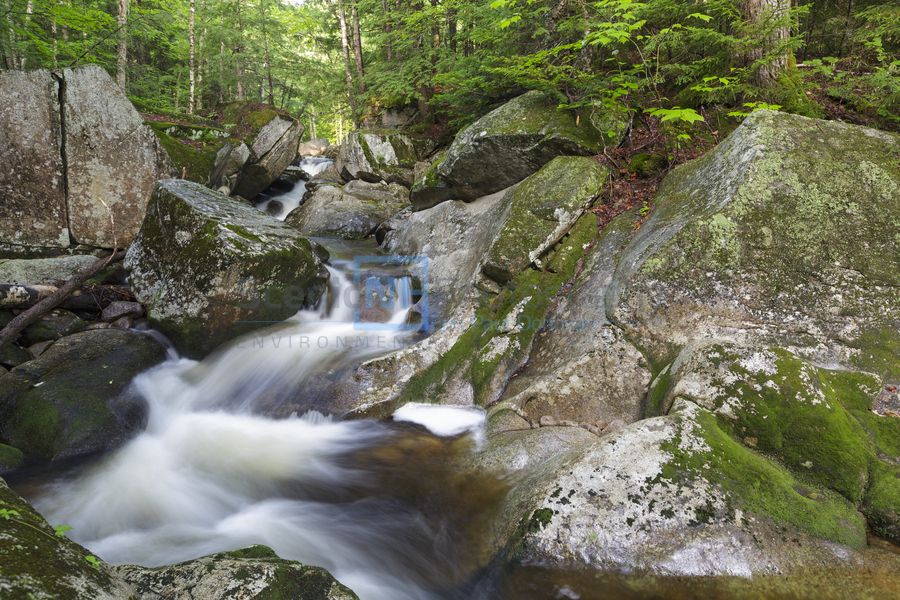 Walker Brook - Woodstock New Hampshire  Print