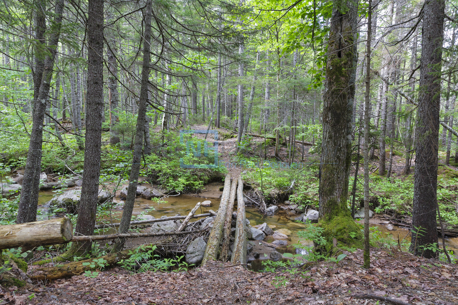 Nancy Pond Trail - Pemigewasset Wilderness New Hampshire   Imprimer