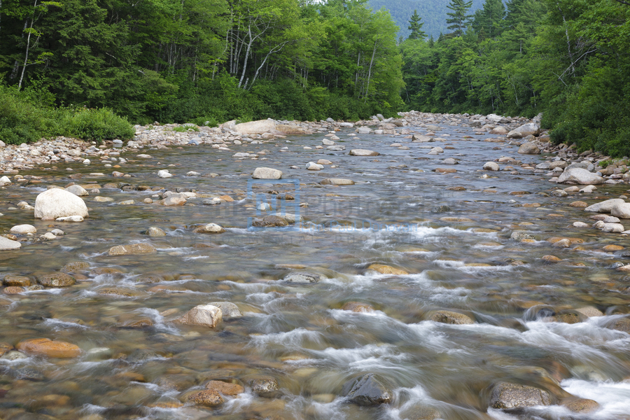 Swift River - White Mountains New Hampshire  Print