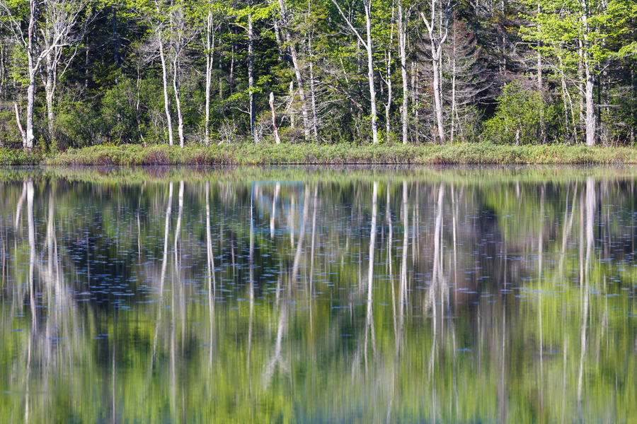 Elbow Pond - North Woodstock New Hampshire  Imprimer