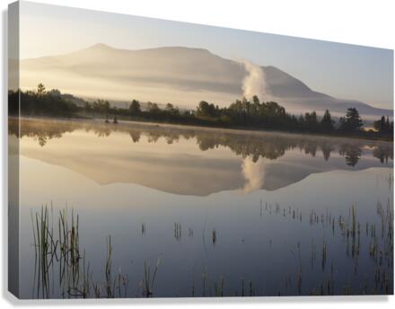 AIRPORT MARSH  - WHITEFIELD NEW HAMPSHIRE SCENICNH PHOTOGRAPHY  Canvas Print