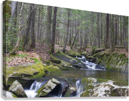 Pike Brook - North Woodstock New Hampshire  Impression sur toile