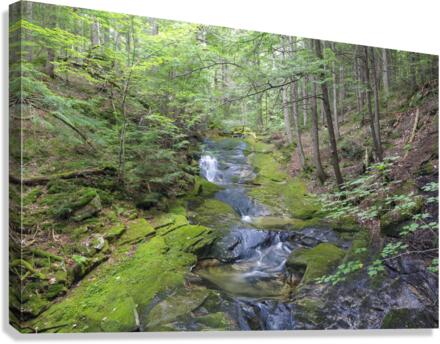 Mossy Glen - Randolph New Hampshire  Impression sur toile