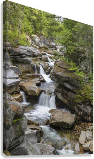 Middle Ammonoosuc Falls - Crawfords Purchase New Hampshire   Canvas Print