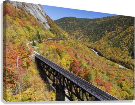 Willey Brook Trestle - White Mountains New Hampshire  Canvas Print