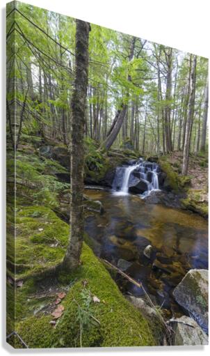Crooked Brook - North Woodstock New Hampshire  Impression sur toile