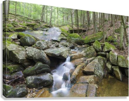 Pollard Brook - Lincoln New Hampshire  Impression sur toile
