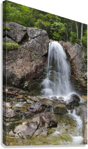 Pemigewasset Wilderness - White Mountains New Hampshire  Impression sur toile