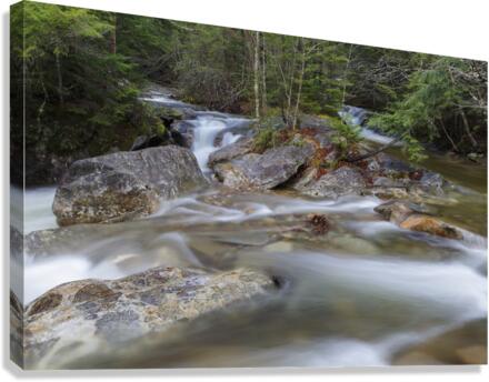 Pemigewasset River - Franconia Notch State Park New Hampshire  Impression sur toile