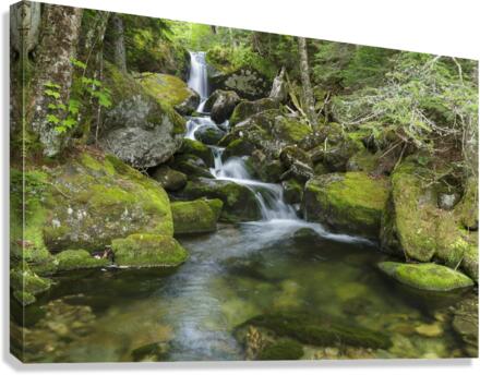 Cold Brook - Low and Burbanks Grant New Hampshire  Canvas Print