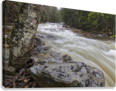 Pemigewasset River - Franconia Notch State Park New Hampshire  Canvas Print