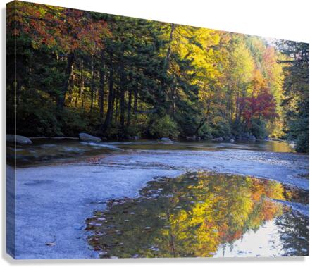 Swift River - White Mountains New Hampshire  Impression sur toile
