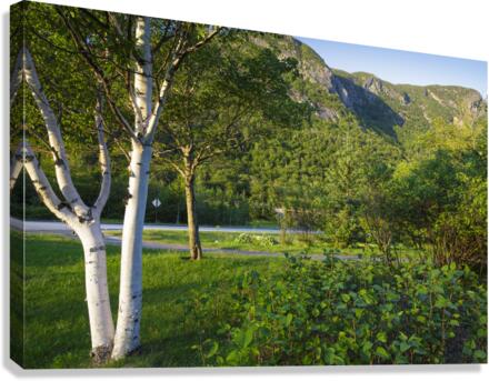 Eagle Cliff - Franconia Notch State Park New Hampshire  Canvas Print