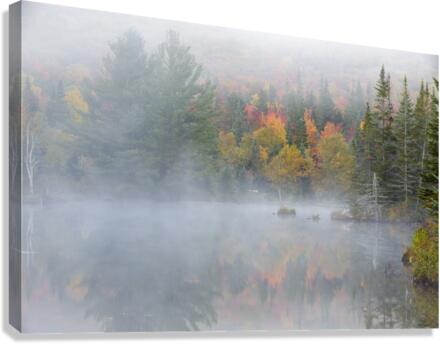 Wildlife Pond - Bethlehem New Hampshire  Impression sur toile