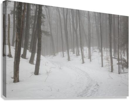 Flume Gorge - Lincoln New Hampshire  Impression sur toile