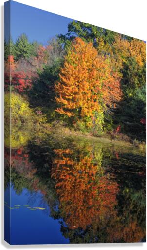 Clark Pond - Auburn New Hampshire  Impression sur toile