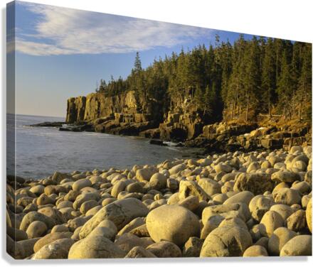 Mount Desert Island Maine - Acadia National Park  Impression sur toile
