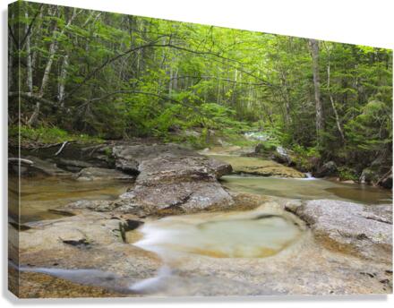 Crystal Brook - Pemigewasset Wilderness New Hampshire  Impression sur toile
