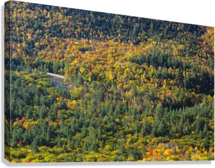 Boulder Loop Trail - White Mountains New Hampshire  Impression sur toile