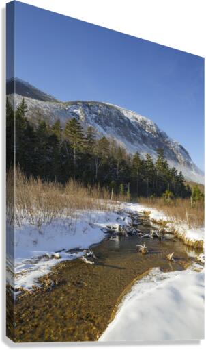 Pemi Trail - Franconia Notch New Hampshire  Canvas Print