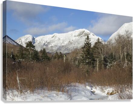 Pemi Trail - Franconia Notch State Park New Hampshire  Impression sur toile
