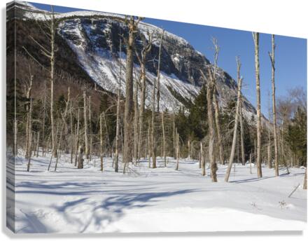 Pemi Trail - Franconia Notch White Mountains  Impression sur toile