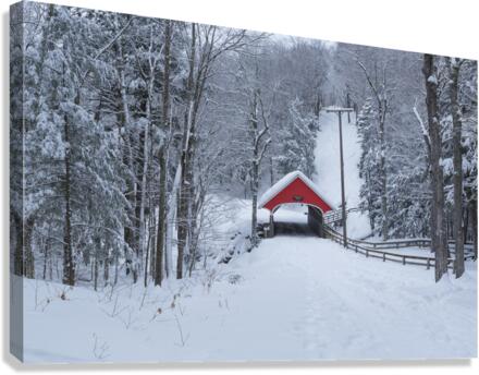 Franconia Notch - White Mountains New Hampshire  Canvas Print