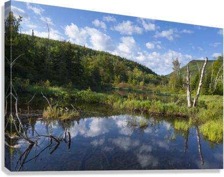 Zealand Pond - White Mountains New Hampshire  Impression sur toile