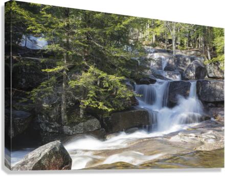 Dianas Baths - Bartlett New Hampshire  Impression sur toile