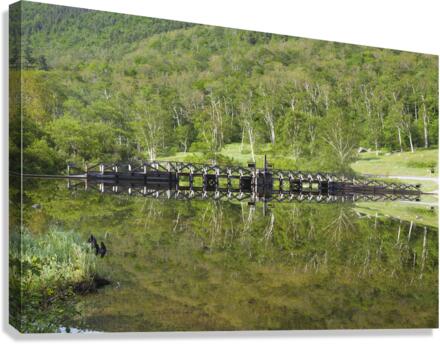Willey House Historical Site - Crawford Notch New Hampshire  Impression sur toile